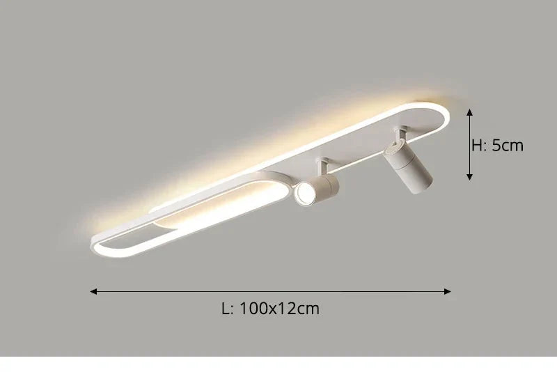 Dimbare LED Plafondlamp met Spotlight – 60/80/100/120 cm | Zwart, Wit of Goud