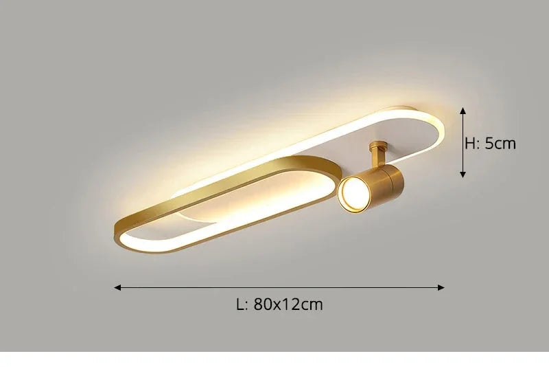Dimbare LED Plafondlamp met Spotlight – 60/80/100/120 cm | Zwart, Wit of Goud