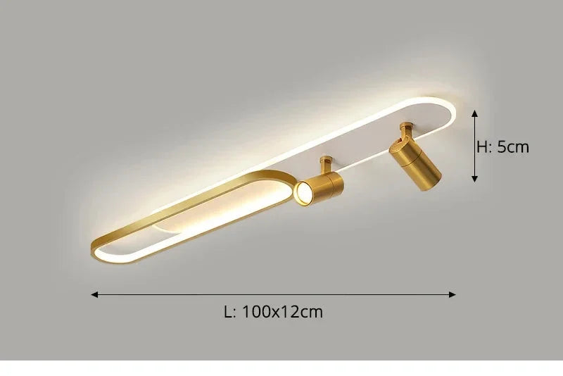 Dimbare LED Plafondlamp met Spotlight – 60/80/100/120 cm | Zwart, Wit of Goud