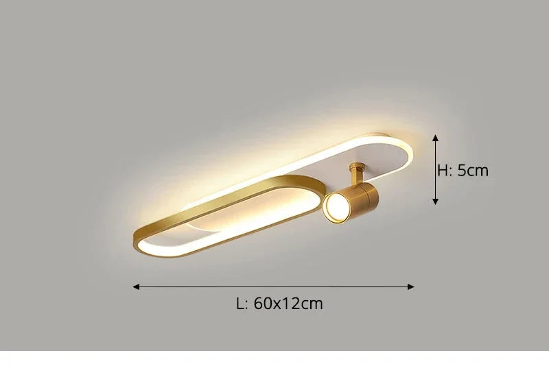 Dimbare LED Plafondlamp met Spotlight – 60/80/100/120 cm | Zwart, Wit of Goud