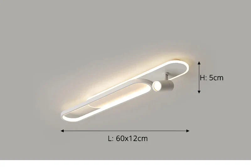 Dimbare LED Plafondlamp met Spotlight – 60/80/100/120 cm | Zwart, Wit of Goud