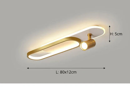 Dimbare LED Plafondlamp met Spotlight – 60/80/100/120 cm | Zwart, Wit of Goud
