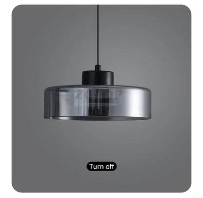Minimalistische Glazen LED Hanglamp Zwart