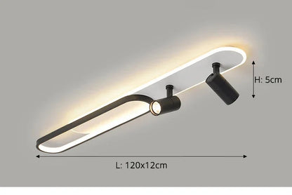 Dimbare LED Plafondlamp met Spotlight – 60/80/100/120 cm | Zwart, Wit of Goud