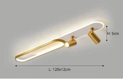 Dimbare LED Plafondlamp met Spotlight – 60/80/100/120 cm | Zwart, Wit of Goud