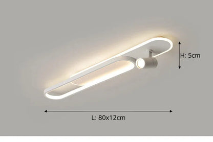 Dimbare LED Plafondlamp met Spotlight – 60/80/100/120 cm | Zwart, Wit of Goud