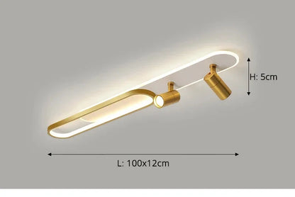 Dimbare LED Plafondlamp met Spotlight – 60/80/100/120 cm | Zwart, Wit of Goud