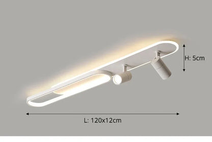 Dimbare LED Plafondlamp met Spotlight – 60/80/100/120 cm | Zwart, Wit of Goud