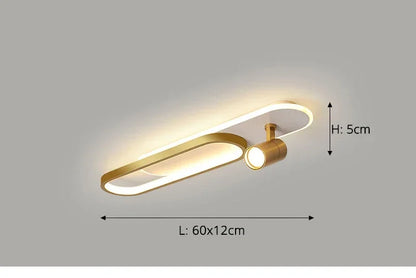 Dimbare LED Plafondlamp met Spotlight – 60/80/100/120 cm | Zwart, Wit of Goud