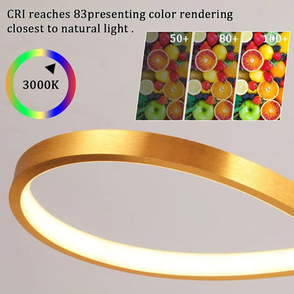 Modern LED Pendant Lamp Rings